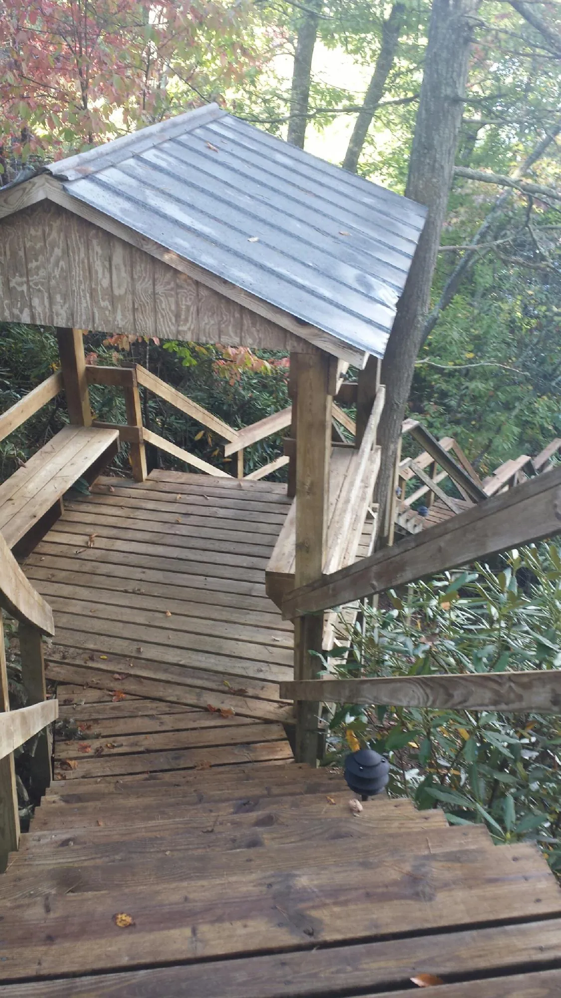 Metal roofed shelter over wooden steps on a wooded walkway — Skylight Repair & Installation work by our crew in Jesup